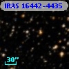 IRAS 16442-4435