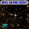 IRAS 16446-4337