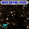 IRAS 16446-4335