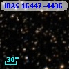 IRAS 16447-4436