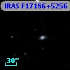 IRAS F17186+5256