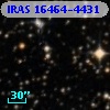 IRAS 16464-4431