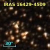 IRAS 16429-4509