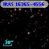 IRAS 16365-4556