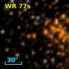 WR  77sc