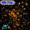 WR  77g