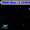 [K80] Herc-1 17459