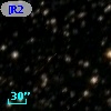 [R2003] 446
