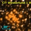 Cl* Westerlund    1      W      10