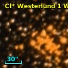 Cl* Westerlund    1      W      13