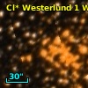 Cl* Westerlund    1      W      15