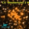 Cl* Westerlund    1      W      29
