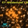 Cl* Westerlund    1    BKS      F