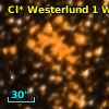 Cl* Westerlund    1      W      35