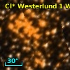 Cl* Westerlund    1      W      41