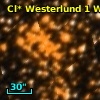 Cl* Westerlund    1      W      42a
