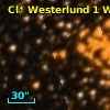 Cl* Westerlund    1      W      70