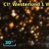 Cl* Westerlund    1      W     238
