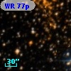 WR  77p
