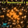 Cl* Westerlund    1      W      30