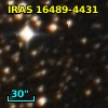 IRAS 16489-4431