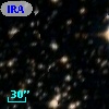 IRAS 16469-4455