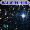IRAS 16476-4445