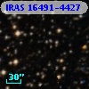 IRAS 16491-4427