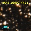 IRAS 16492-4421
