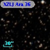 XZLJ Ara  36