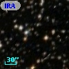 IRAS 16515-4447