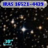 IRAS 16521-4439