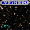 IRAS 16528-4427
