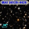 IRAS 16529-4429