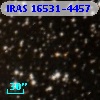IRAS 16531-4457