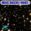 IRAS 16535-4442