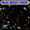 IRAS 16537-4429