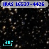 IRAS 16537-4426