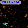 XZLJ Ara 204