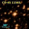 CD-45 11565
