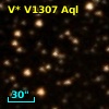 V* V1307 Aql
