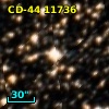 CD-44 11736