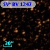SV* BV  1247