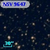 NSV  9647