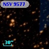 NSV  9577