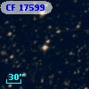 CF 17599