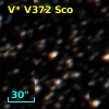 V* V372 Sco