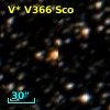 V* V366 Sco