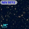 NSV  9771