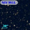 NSV  9811